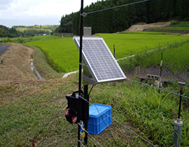 电围栏（野生动物防护）